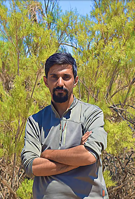 مرتضی پورمیرزای